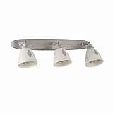 Спот Maytoni SP289-CW-03-BG