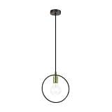 Подвесной светильник Lumion Suspentioni Darryl 3691/1