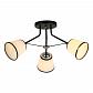 Потолочная люстра Toplight Persis TL1256D-03BK - фото №1