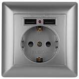 Розетка ЭРА Intro Solo Schuko P+E 16A 250V со шторками 2хUSB серебро 4-410-03 Б0043405