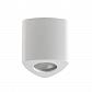 Потолочный светильник Odeon Light Aquana 3574/1C - фото №1