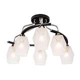 Люстра Silver Light 246.59.6