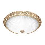 Светильник Silver Light 827.49.7