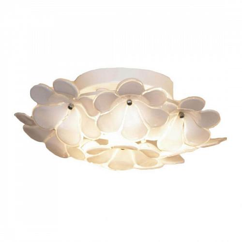 Потолочный светильник Lussole Asinara GRLSA-5107-03