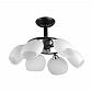 Потолочная люстра Toplight Marianna TL2660X-06WC - фото №1
