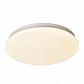 Потолочный светодиодный светильник F-Promo Ledante 2469-2C - фото №3