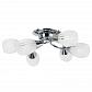 Потолочная люстра Arte Lamp Penny A2701PL-6CC - фото №1