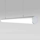 Светильник Elektrostandard 4690389122156