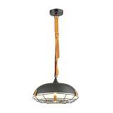 Светильник Odeon Light 4151/1