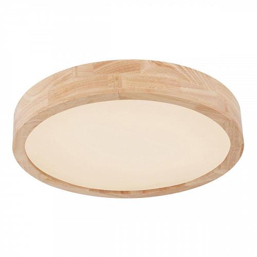 Потолочный светодиодный светильник Globo Leanara 41756-24