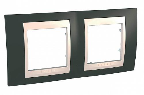 Рамка 2-постовая Schneider Electric Unica Хамелеон MGU6.004.571