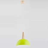Подвесной светильник Alfa Fotyn 9728 Зеленый