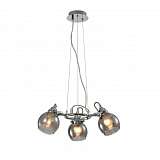 Подвесная люстра Rivoli Agnesa 4056-203 Б0047312