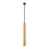 Подвесной светодиодный светильник Elvan PD-62011/1-7W-WW-Gl