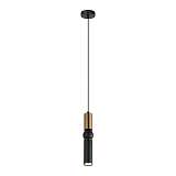 Подвесной светильник Lussole Loft Truman LSP-8571