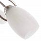 Потолочная люстра Arte Lamp Mutti A8616PL-3SS - фото №4