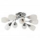 Потолочная люстра Arte Lamp Penny A2701PL-9CC - фото №1