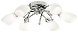 Потолочная люстра Arte Lamp Opal A8186PL-6CC