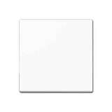 Накладка Jung A1561.07WW