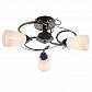 Потолочная люстра Arte Lamp 50 A6545PL-3BC - фото №2
