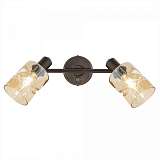 Спот Citilux Кингстон CL518520