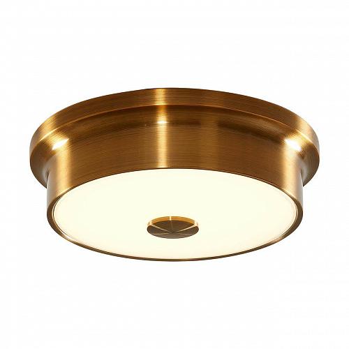 Потолочный светодиодный светильник Citilux Фостер-2 CL706212