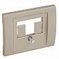 Лицевая панель Legrand Galea Life розетки TDO титановая 771447 - фото №1