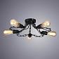 Потолочная люстра Arte Lamp A9344PL-5BK - фото №4