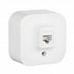 Розетка телефонная RJ11 Legrand Quteo белая 782214 - фото №1