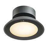 Светильник SLV 1002157