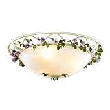 Светильник Odeon Light 2796/3C