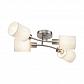 Потолочная люстра Freya Vivian FR5003CL-04N - фото №1