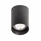 Потолочный светильник TopDecor Tubo12 P2 12 - фото №1