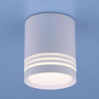 Потолочные светильники Elektrostandard