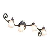 Спот Citilux CL513541