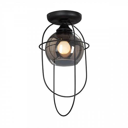 Потолочный светильник Vitaluce V4462-1/1PL