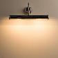 Подсветка для картин Arte Lamp Picture Lights III A5023AP-2CC - фото №2