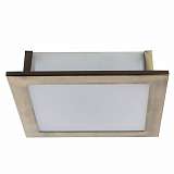 Потолочный светильник Arte Lamp Spruzzi A6064PL-2AB