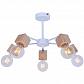 Потолочная люстра Toplight Alisha TL1197X-05AB - фото №1