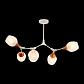 Потолочная люстра Evoluce Ciotolla SLE113502-05 - фото №2