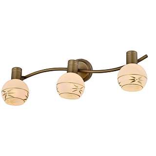 Споты с тремя и более плафонами Toplight