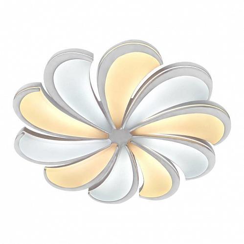 Потолочный светодиодный светильник Escada 10204/10LED