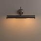 Подсветка для картин Arte Lamp Picture Lights III A5023AP-2SS - фото №3