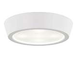 Потолочный светодиодный светильник Lightstar Urbano 214902