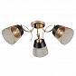 Потолочная люстра Rivoli Helma 9067-303 Б0047520 - фото №1
