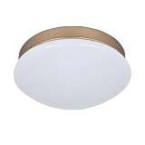 Светильник F-Promo 2466-1C