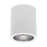 Накладной точечный светильник Kanlux NIKOR DLP-60-W 7210