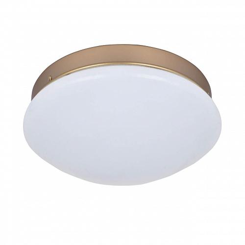 Потолочный светодиодный светильник F-Promo Ledante 2466-1C