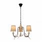 Подвесная люстра Loft IT Birds Loft1029A-3 - фото №1