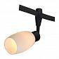 Трековый светильник Arte Lamp A3059PL-1BK - фото №1